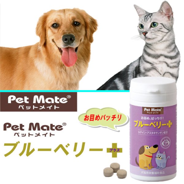 画像1: ペットメイトシリーズ ブルーベリープラス 【お目めパッチリ！】 健やかな瞳のためのサプリメント!｜ナイルマート健康館 (1)