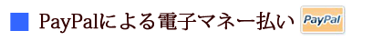 ペイパル電子マネー決済